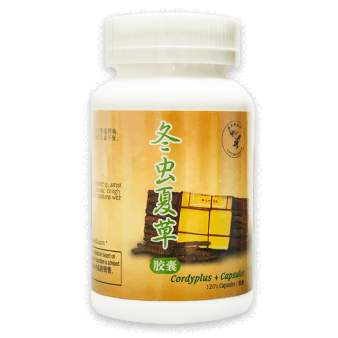 120's 冬虫夏草胶囊Cordyplus + Capsules | Yi Shi Yuan